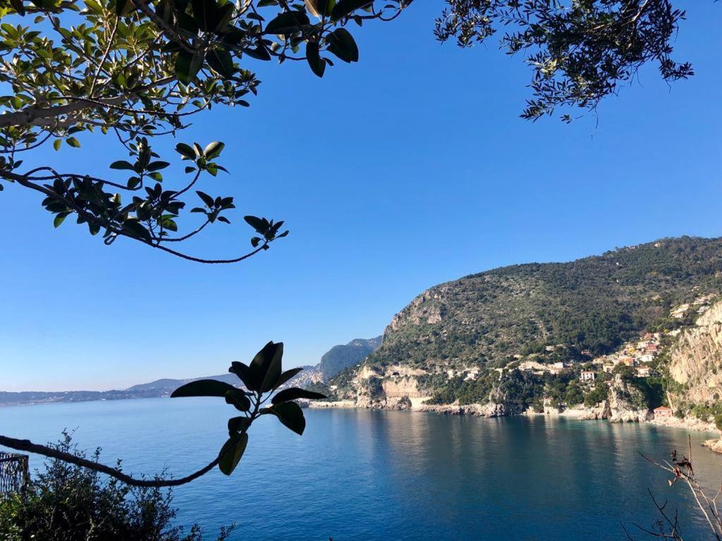 Une Terrasse Sur Monaco Logement 2 Chambre Beausoleil Εξωτερικό φωτογραφία